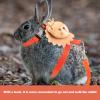 ibasenice Rabbit Harness Set with Safety Leash view 3