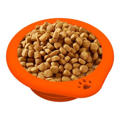 Fenayuu Collapsible Dog Bowl | 300ml Portable Silicone Feeding Bowl with Carabiner