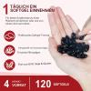 Natural Astaxanthin Premium Supplement, 240 Softgels, Supports Eye, Joint and Circulatory Health, Non-GMO and Gluten-Free view 2