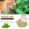 OSDUE Catnip Multipack, 16x2g view 3