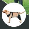 Adjustable Dog Hip and Knee Brace with Metal Stabilizers view 3