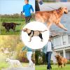 Adjustable Dog Hip and Knee Brace with Metal Stabilizers view 4