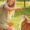 Arroopu Dog Training Bag - Portable Waterproof Silicone Treat Pouch view 3