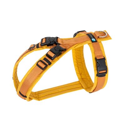 Anny-X Open Fun Dog Harness for Sensitive Dogs, Goldglöckchen, Size M (Chest: 62–74 cm)