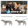 Anny-X Open Fun Dog Harness for Sensitive Dogs, Goldglöckchen, Size M (Chest: 62–74 cm) view 4