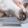 Pet Hair Remover - Reusable Scraper Brush for Pet Hair and Lint view 3