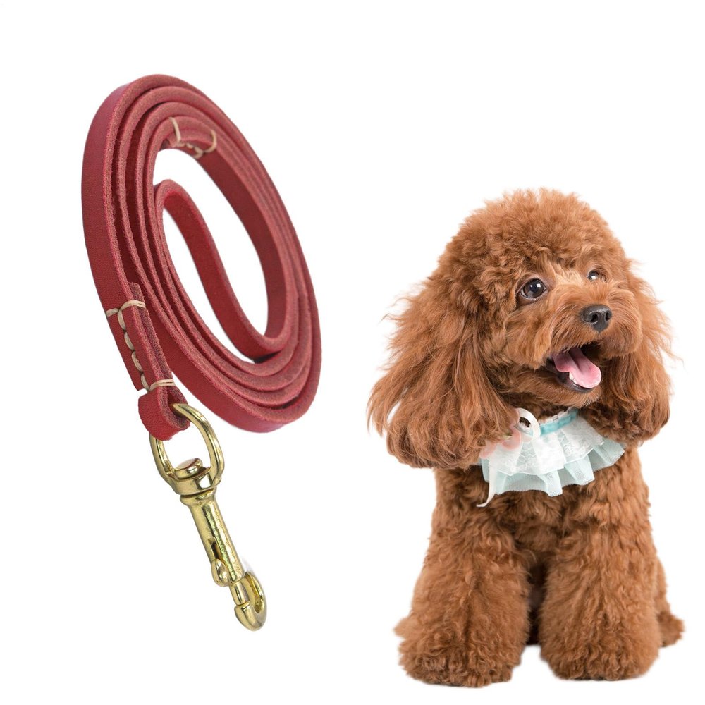 GkgWuxf Dog Leash