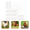 Toddmomy 50-Piece White Plastic Poultry Leg Bands for Easy Identification view 3