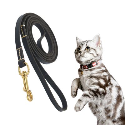 Dog Tug and Play Rope | Compact Ergonomic Grip