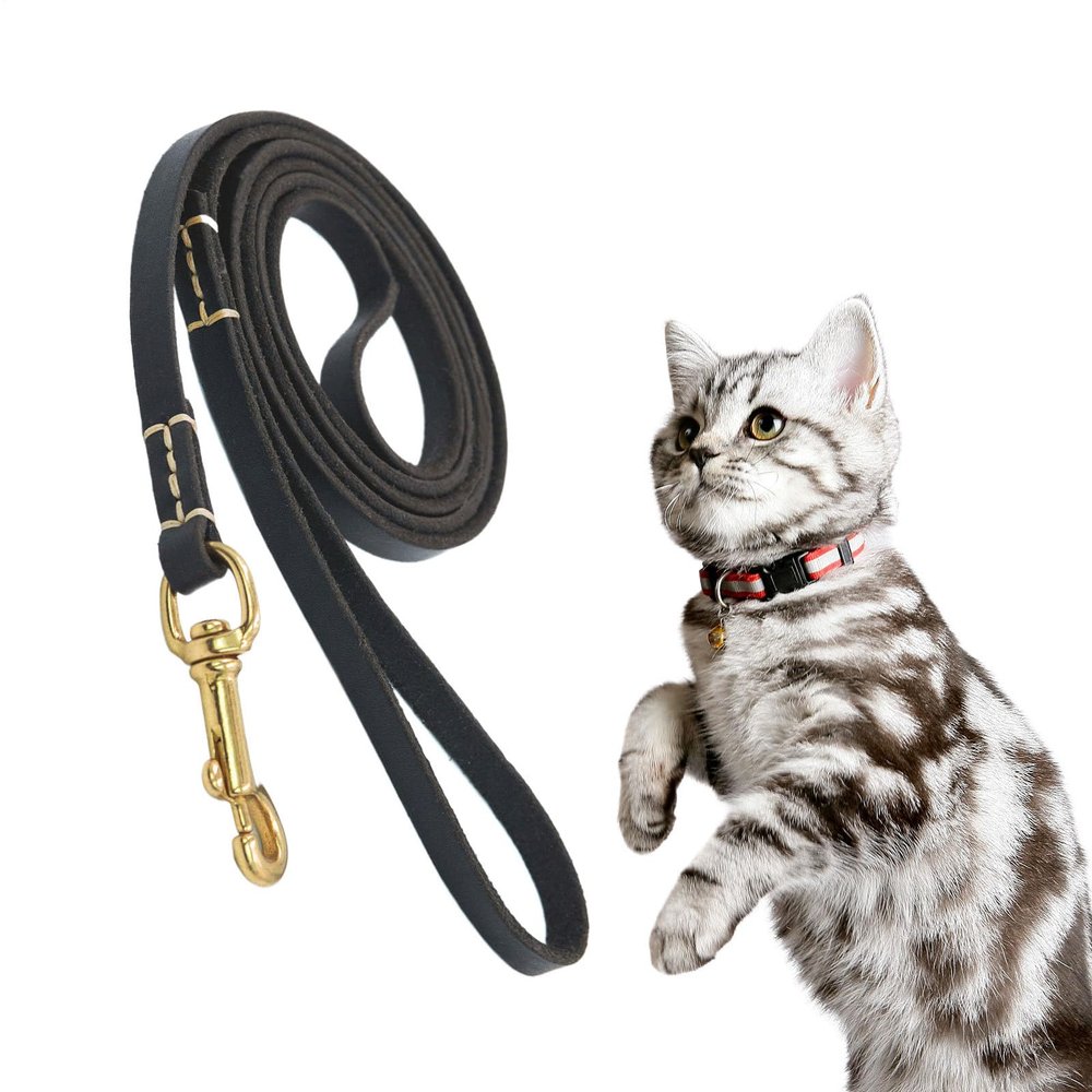 Dog Tug and Play Rope | Compact Ergonomic Grip