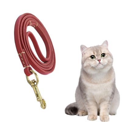 Dog Tug Rope | Compact Ergonomic Grip, Training Rope for Small to Large Breeds