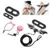 Reptile Harness and Leash Set with Hat and Bow Tie, Adjustable Lizard Leash, Soft Leather, Bat-Wing Design, Small Size view 2
