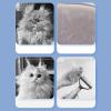 Pet Hair Removal Brush with Release Button for Dogs and Cats view 4