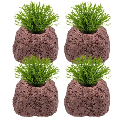 Generic Plant Holder for Aquarium | 4 Piece Set