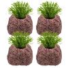 Generic Plant Holder for Aquarium | 4 Piece Set view 1