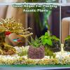 Generic Plant Holder for Aquarium | 4 Piece Set view 2
