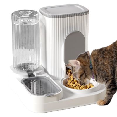 Automatic 2-in-1 Pet Feeder