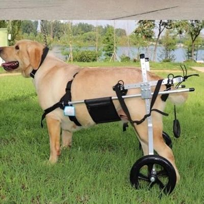 Adjustable Hind-Leg Dog Wheelchair for Large Dogs