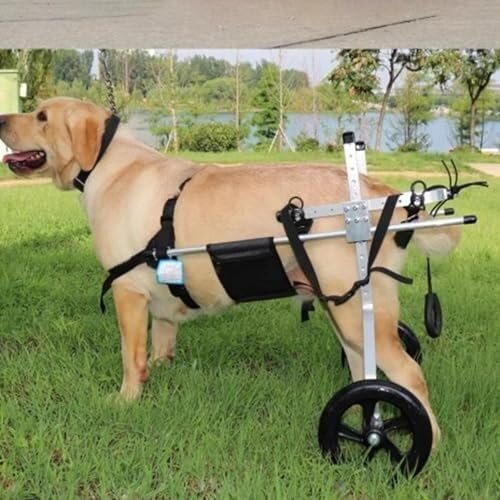 Adjustable Hind-Leg Dog Wheelchair for Large Dogs