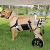 Adjustable Hind-Leg Dog Wheelchair for Large Dogs view 1