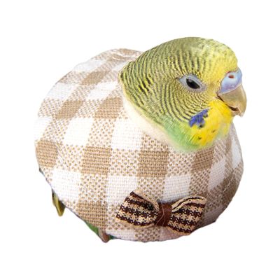Bird Recovery Collar - Comfortable Parrot Neck Protection