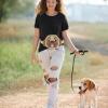 Small Dog Treat Pouch, Adjustable Waist Belt, Leakproof, 200 mL view 3