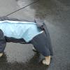 Waterproof Dog Tail Protector Cover view 3