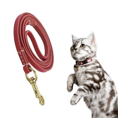Nankoyal Dog Tug Rope