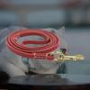Nankoyal Dog Tug Rope view 3