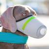 Eojpdji Muzzle for Medium Dogs | Outdoor Anti-Muzzle view 3