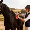 Horse Brush | 2-in-1 Brush with Hard Bristles for Cleaning view 2