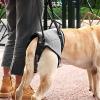 Dog Support Harness with Quick Release and Elastic Support view 3