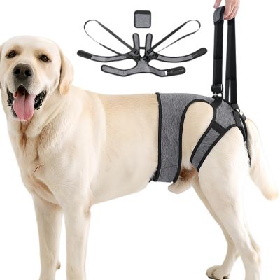 Dog Support and Lift Harness