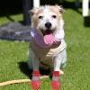 Waterproof Puppy Boots - Reusable Paw Protection for Winter Snow view 2