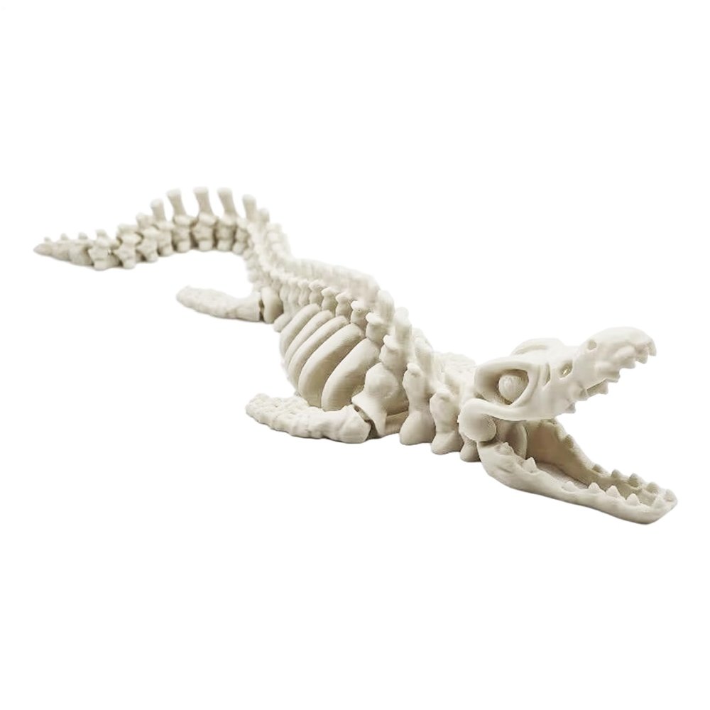 3D Plesiosaur Skeleton Model 20cm