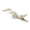 3D Plesiosaur Skeleton Model 20cm view 1