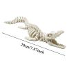 3D Plesiosaur Skeleton Model 20cm view 3