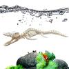 3D Plesiosaur Skeleton Model 20cm view 4