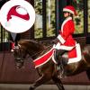 Christmas Hat | Festive Horse Headwear with Matching Bareback Saddle Pad Set view 2
