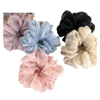 5-Piece Women's Organza Scrunchie Hair Tie Set, Colorful