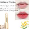 2026 New Transparent Color-Changing Lipstick, 24-Hour Wear, Flowers Inside, 3-Pack view 3