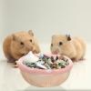 Ceramic Hamster Bowl for Small Pets, Pink, Easy to Clean view 3