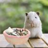 Ceramic Hamster Bowl for Small Pets, Pink, Easy to Clean view 4