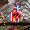 Tomantery Portable Foldable Budgie Bed view 4