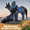 Vibhgtf Dog Knee Brace, Adjustable Support Brace, Hind Leg view 2