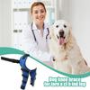 Vibhgtf Dog Knee Brace, Adjustable Support Brace, Hind Leg view 3