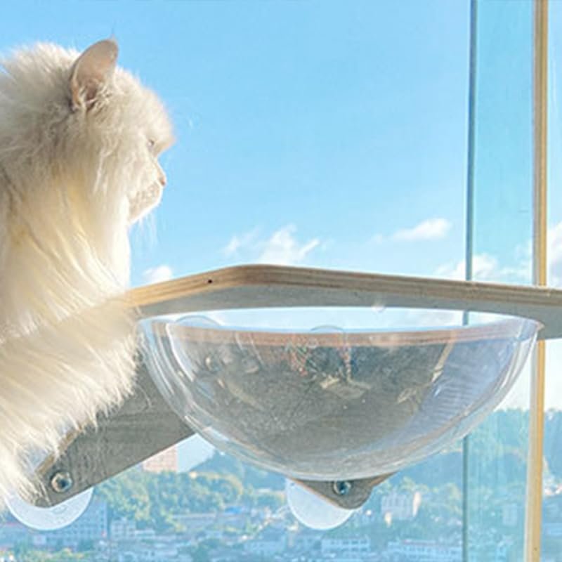 PUSOKEI Wall-Mounted Cat Climbing Frame, Multi-Layer Panels, Non-Slip Suction Cups, Acrylic Space Capsule, 40 x 30 x 15 cm
