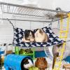 Generic Hamster Bed view 2