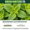 Green Hunters Organic Lemon Balm Oil, 10 mL, Essential Oil, 100% Pure, Certified Organic view 3