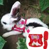 Tnfeeon Rabbit Harness with Leash (M) view 2